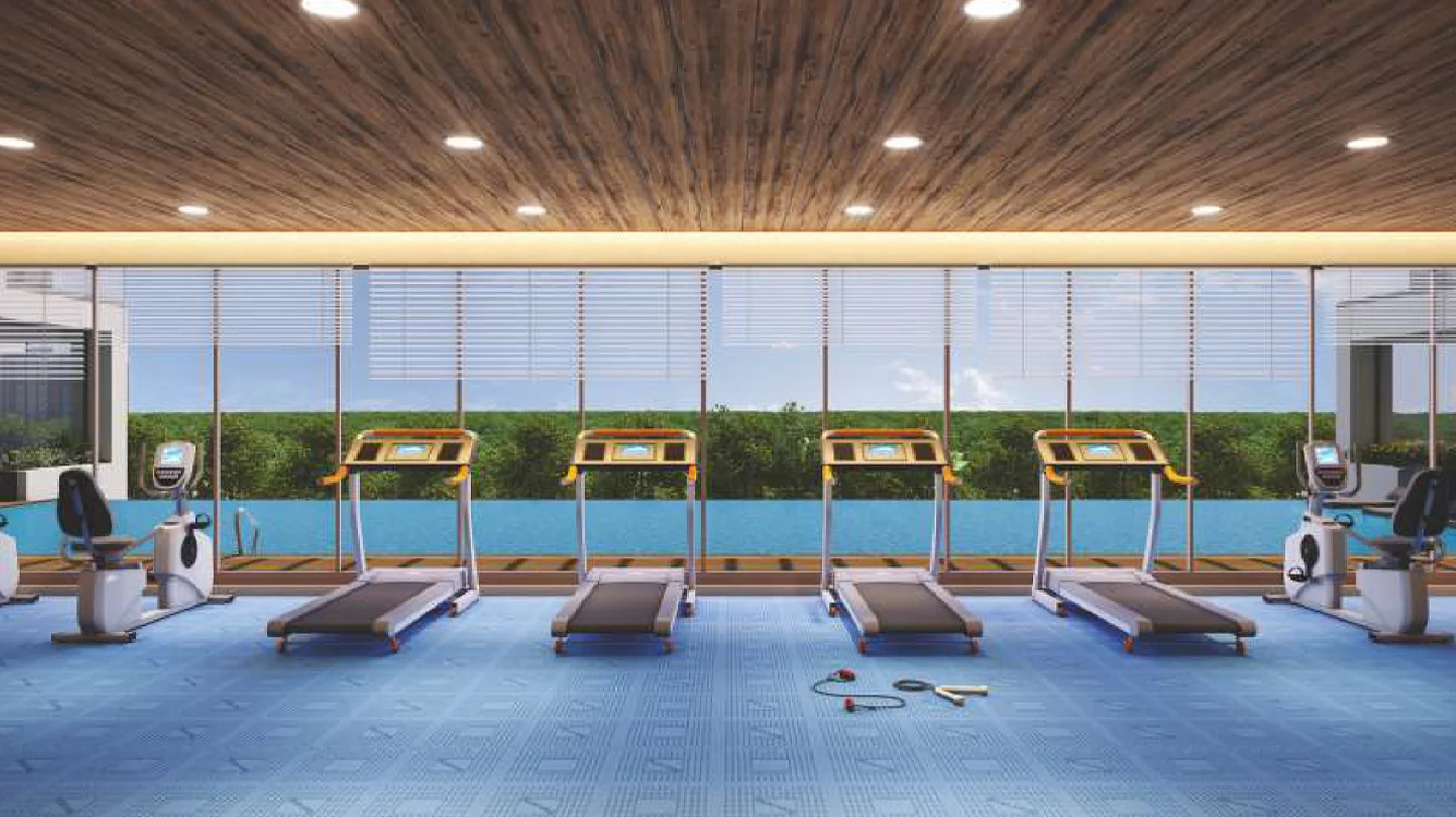 Life Canvas Mamurdi Gym Image