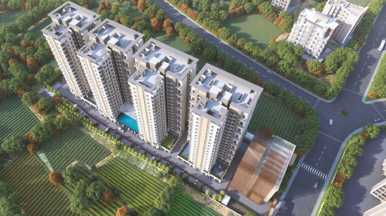 Life Canvas Mamurdi Top View Image